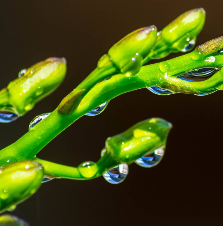 theadventureaperture #4